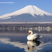 Mt. Fuji - A Heaven